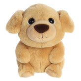 Aurora® - Boop™ - Constructor™ de 9"